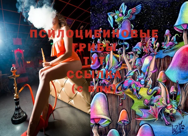 амф Алзамай