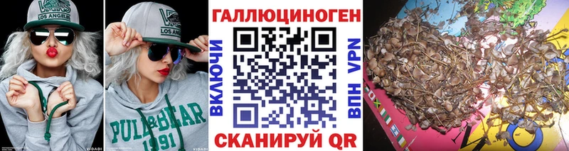 наркошоп Бабаево Псилоцибиновые грибы Psilocybe